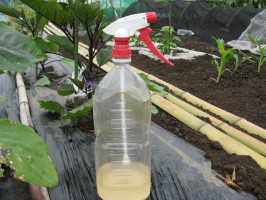 防虫剤 忌避剤 菜園おじさんのエコ野菜づくり