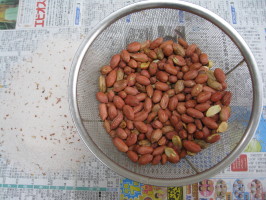 落花生 炒り方 菜園おじさんのエコ野菜づくり